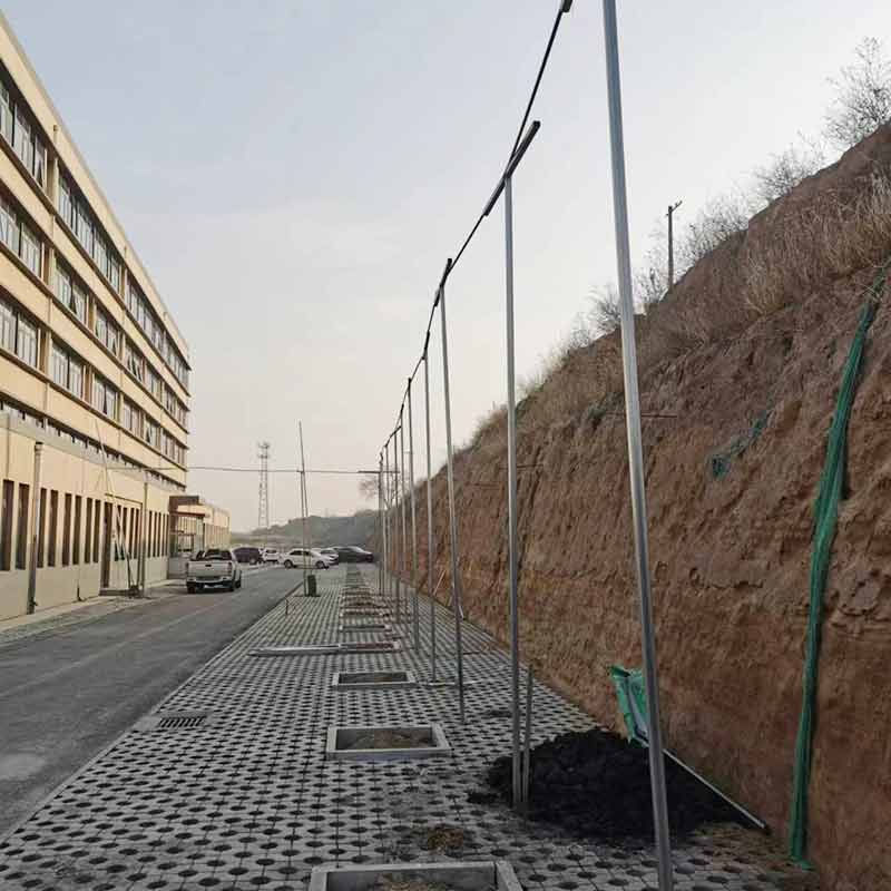 1700552161122837.jpg 1700552161122837.jpg